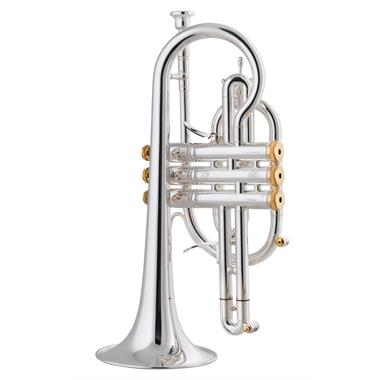 Stomvi Titan B-flat cornet (gold brass bell) thumbnail