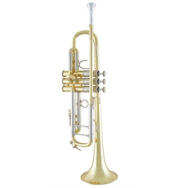 [Ex=demo] Vincent Bach 19037 B-flat trumpet thumbnail 