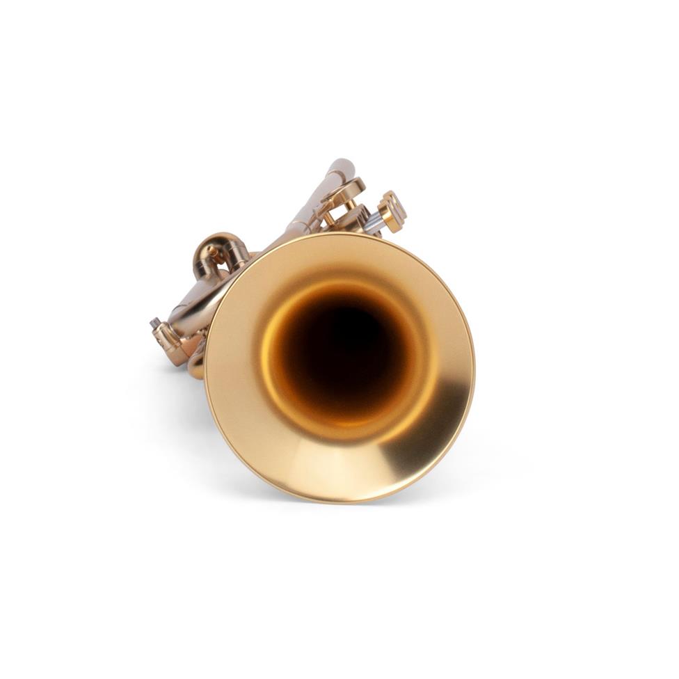 Adams A4-LT B-flat trumpet (satin gold lacquer)