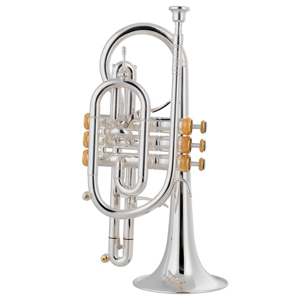 Stomvi Titan (Bellflex bell)