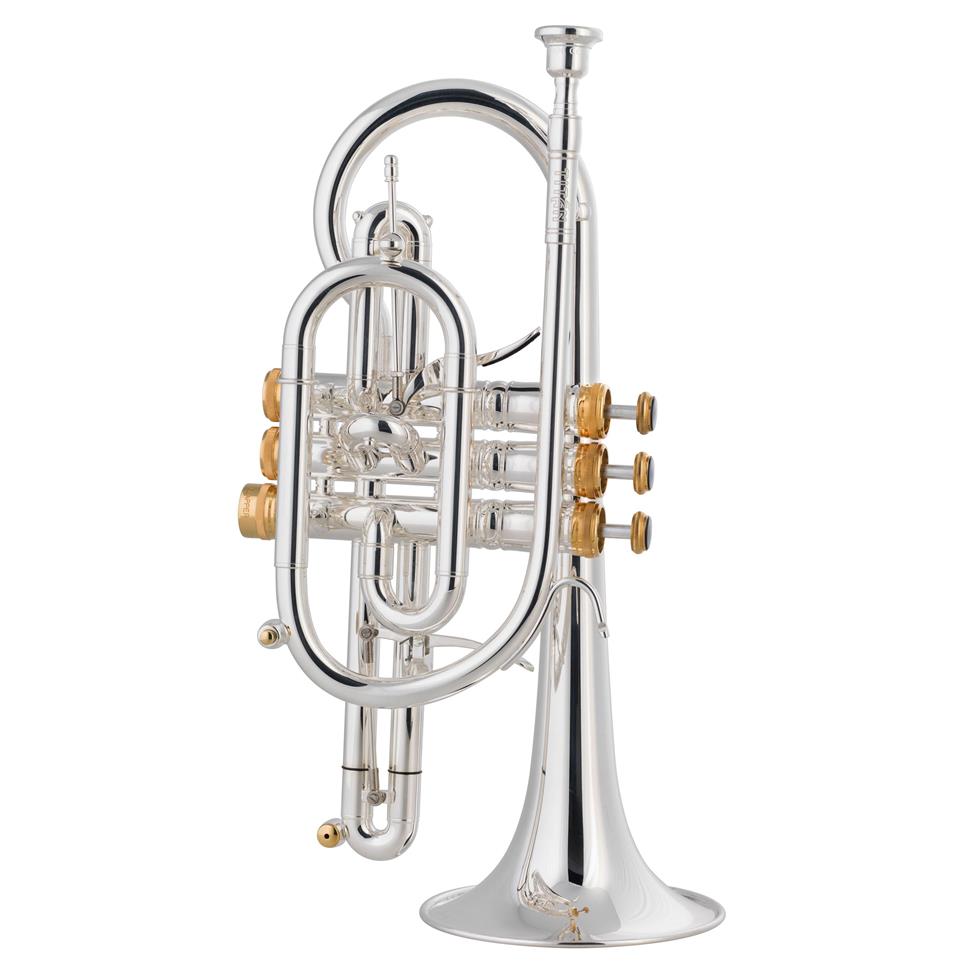 Stomvi Titan HE B-flat cornet (gold brass bell)
