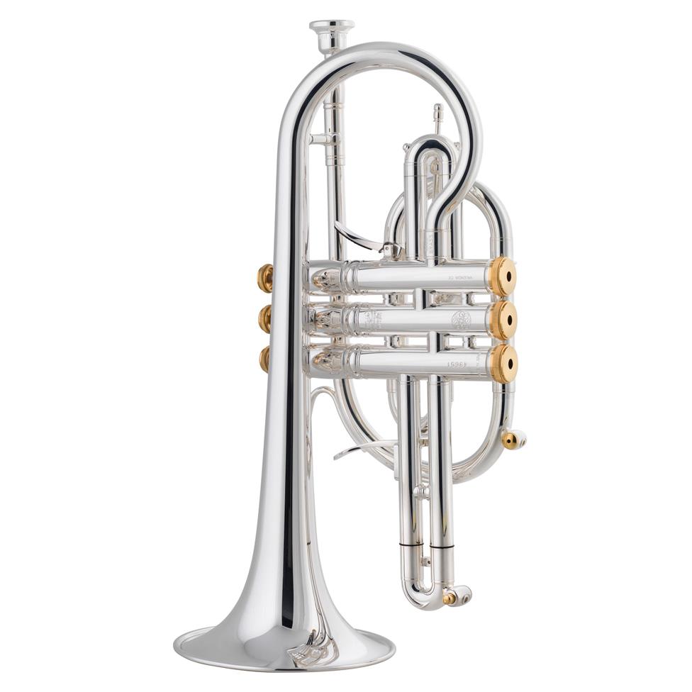 Stomvi Titan HE B-flat cornet (gold brass bell)