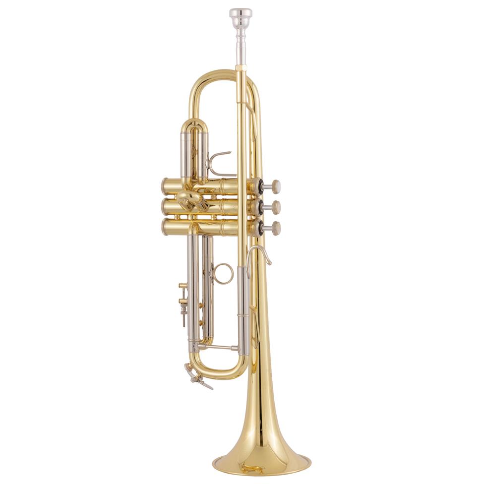Vincent Bach 18037R B-flat trumpet