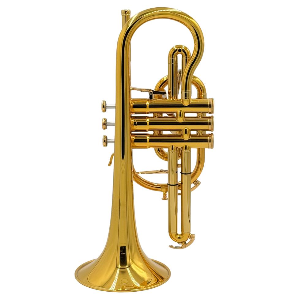 Besson Prestige 2029 B-flat cornet (gold lacquer)