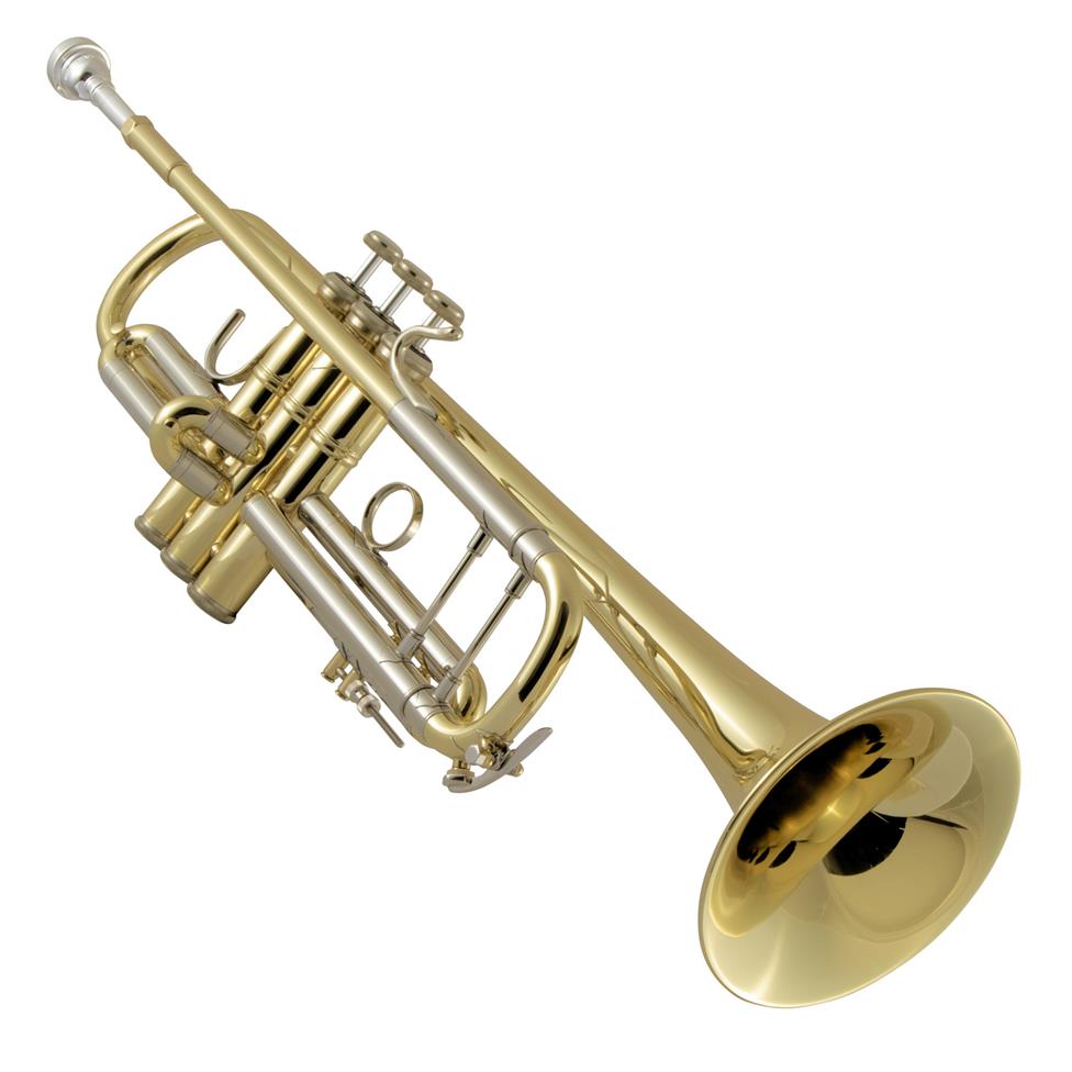 Bach Stradivarius 18037