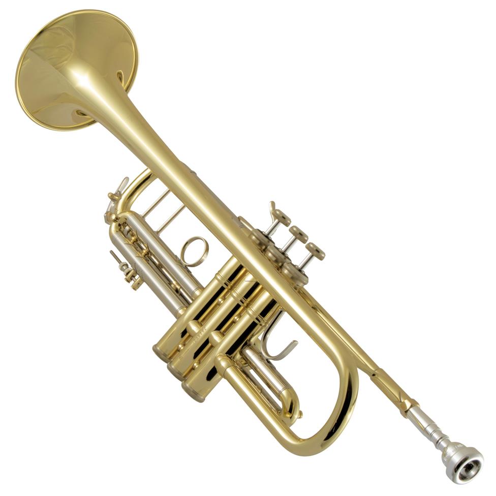 Bach Stradivarius 18037