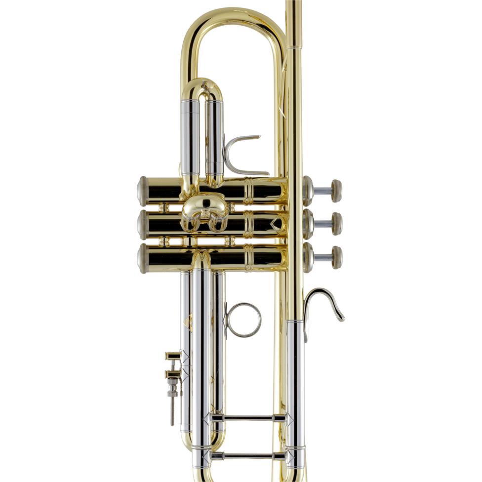 Bach Stradivarius 18043