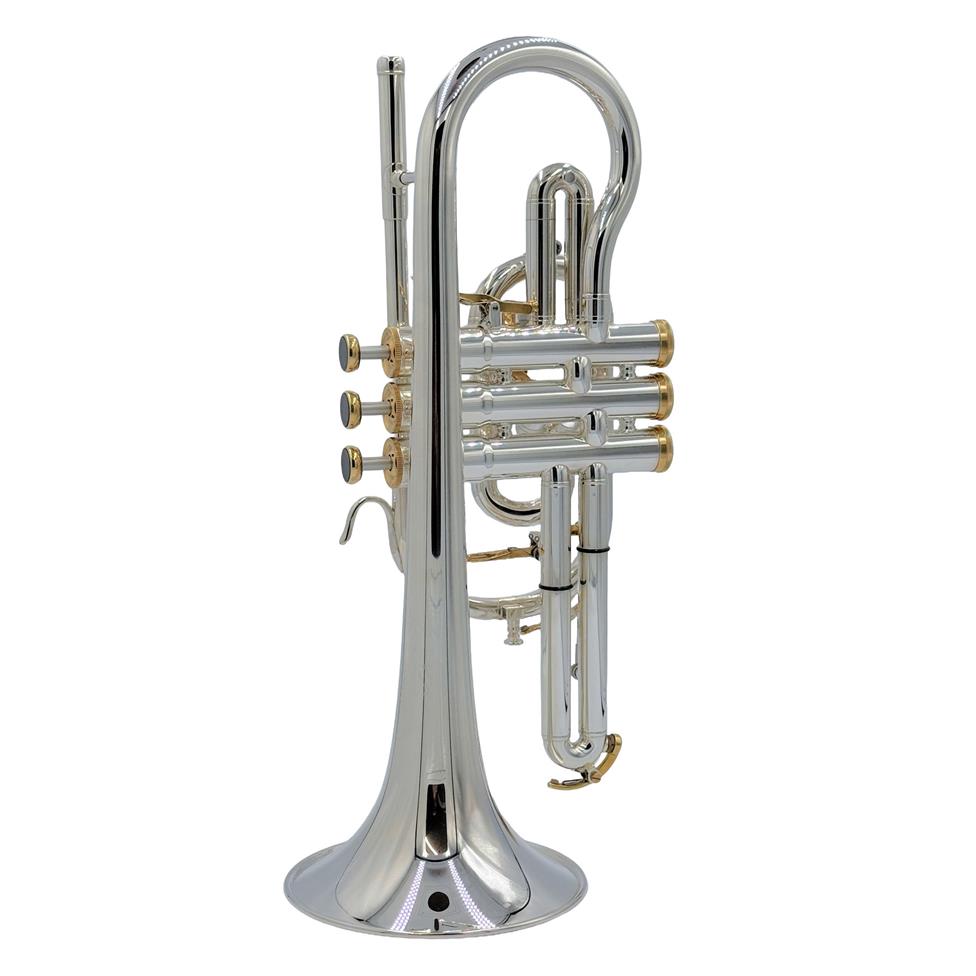 Besson Prestige 2029 B-flat cornet (silver)